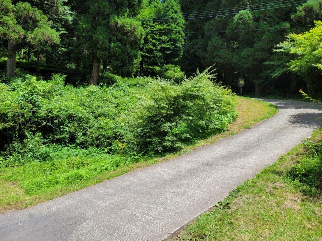 鬼笑庵側から見た入口の道路