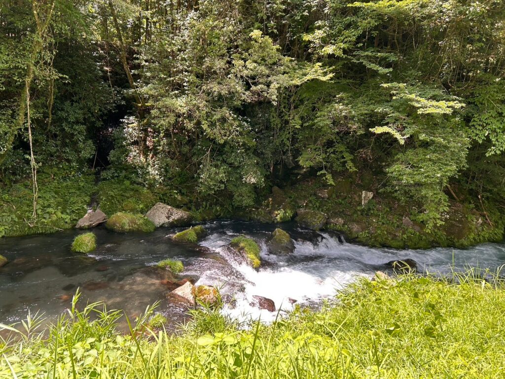 鬼笑庵横の清流