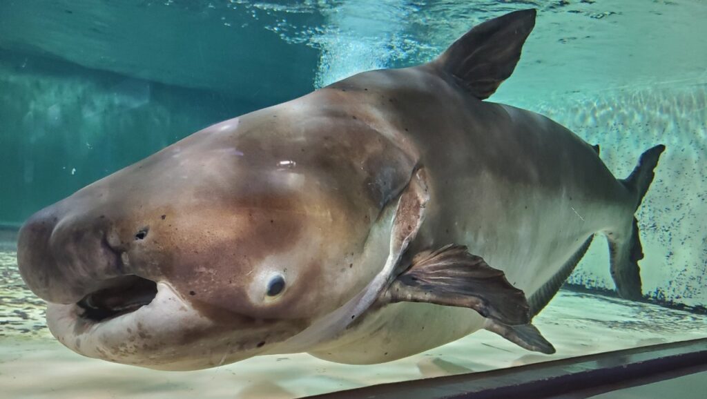 長崎ペンギン水族館