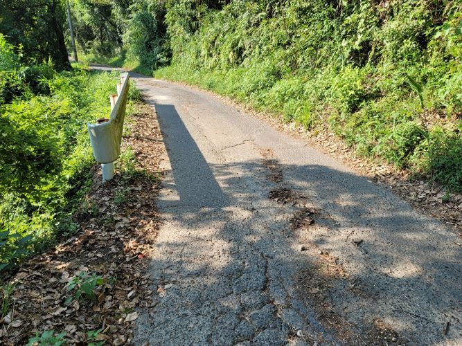 駐車場までの道のり