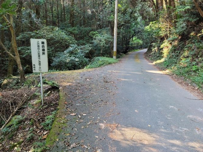 駐車場までの道のり