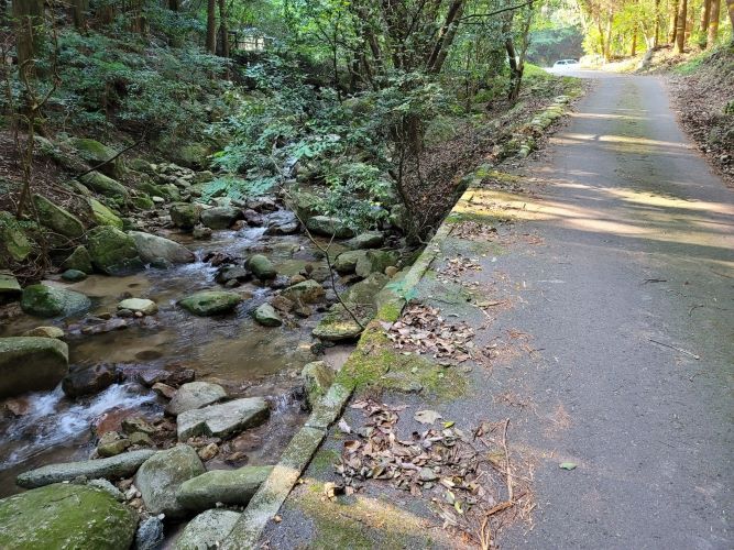 駐車場までの道のり